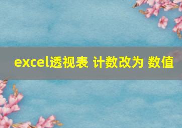 excel透视表 计数改为 数值